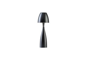 Stalinis šviestuvas ANEMON 400507